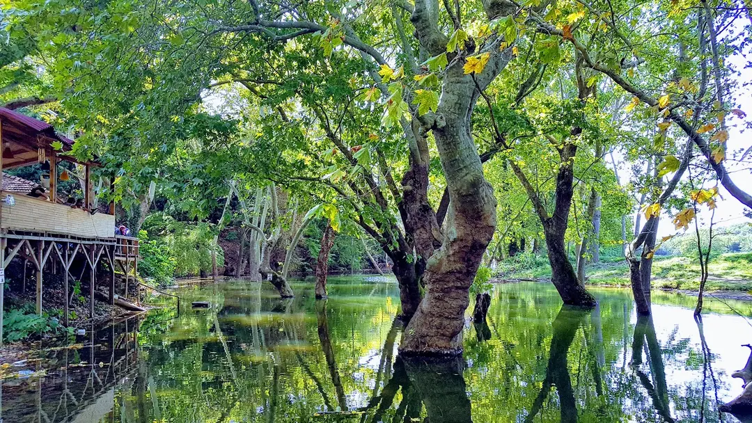 Demircioğlu Camping — Edirne — küçük resim 7