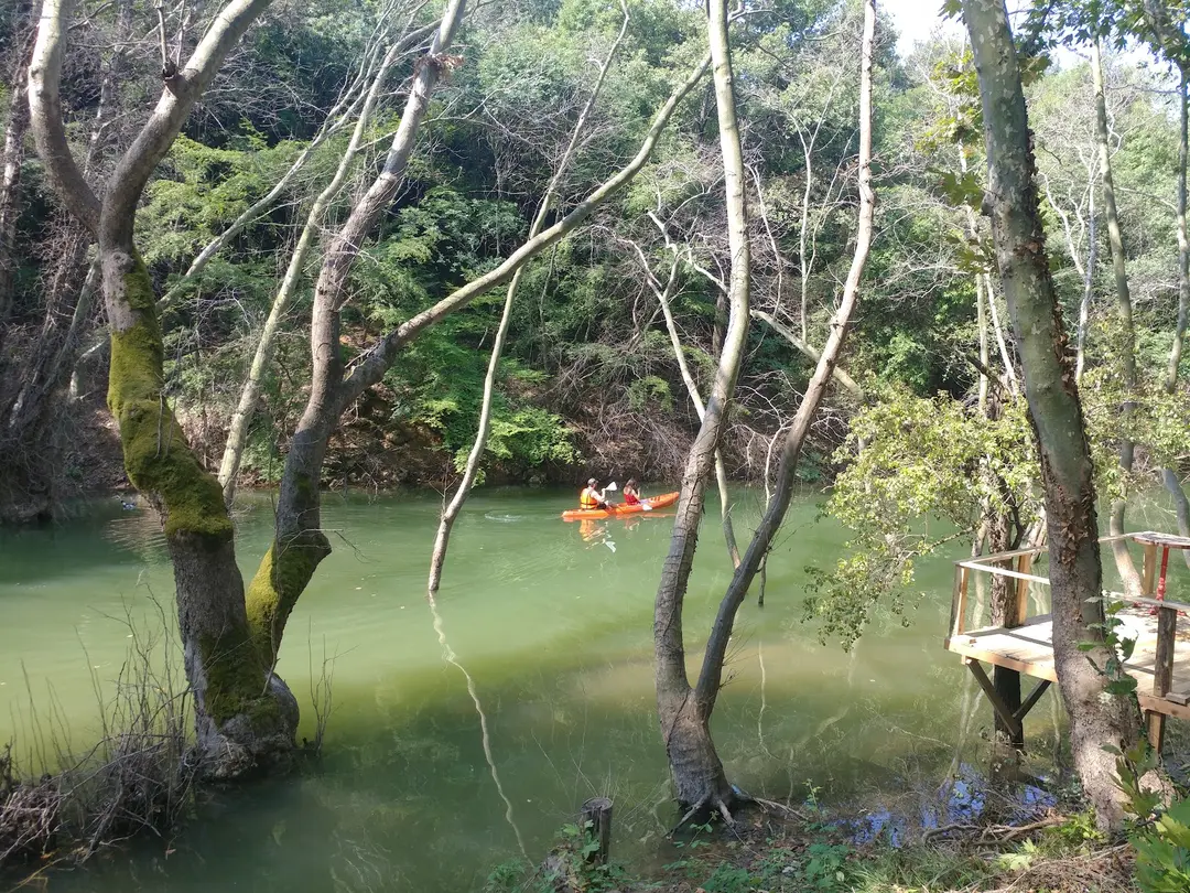 Demircioğlu Camping — Edirne — küçük resim 6