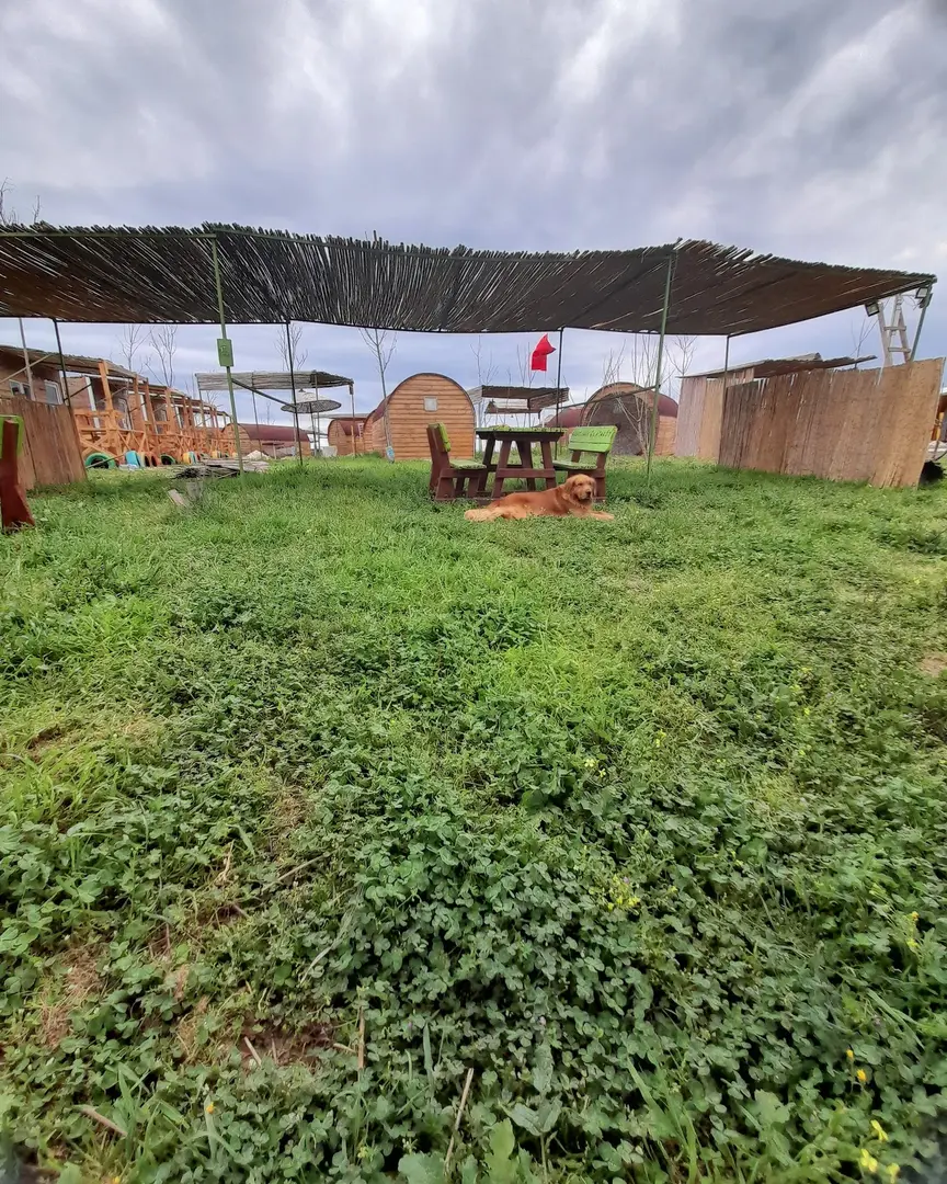 Denizatı Camping — Edirne — küçük resim 9