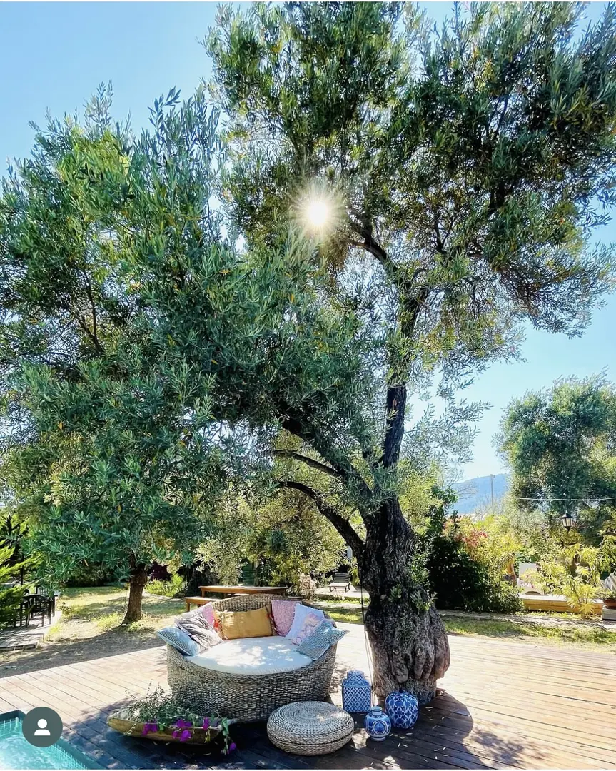My Bungalov — Muğla — küçük resim 5
