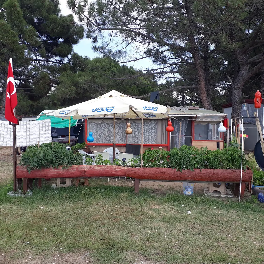 Enez kamp