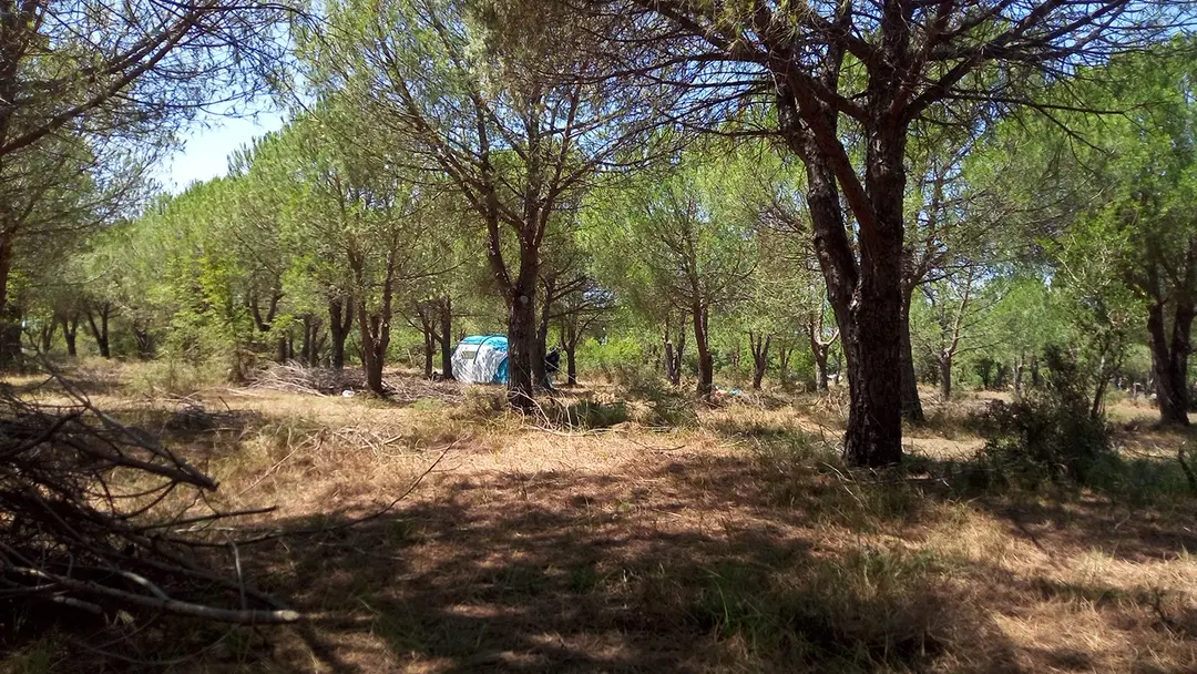 Enez kamp — Edirne — küçük resim 9