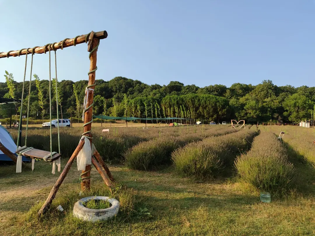 Kıyıköy Lavender camping — Kırklareli — küçük resim 2