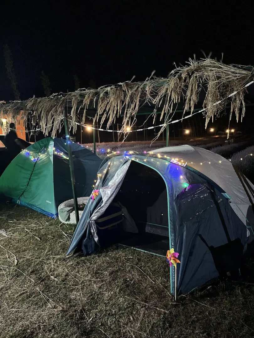 Kıyıköy Lavender camping — Kırklareli — küçük resim 7