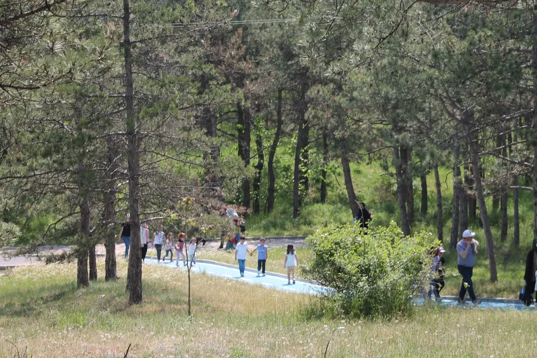 Çamlık — Kırklareli — küçük resim 7
