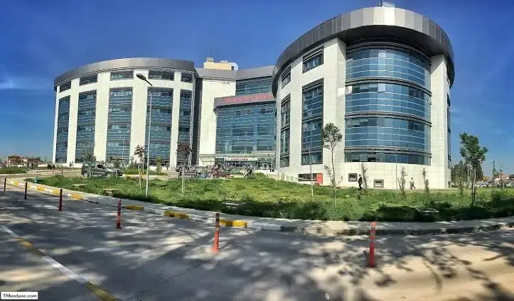 Çamlık