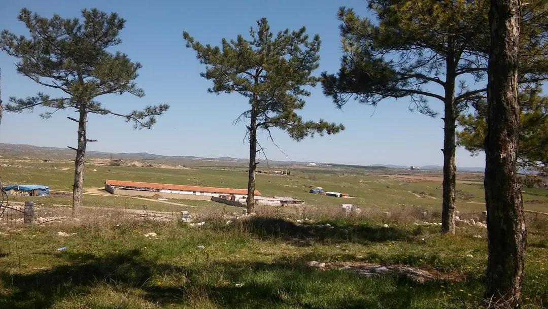Çamlık — Kırklareli — küçük resim 2