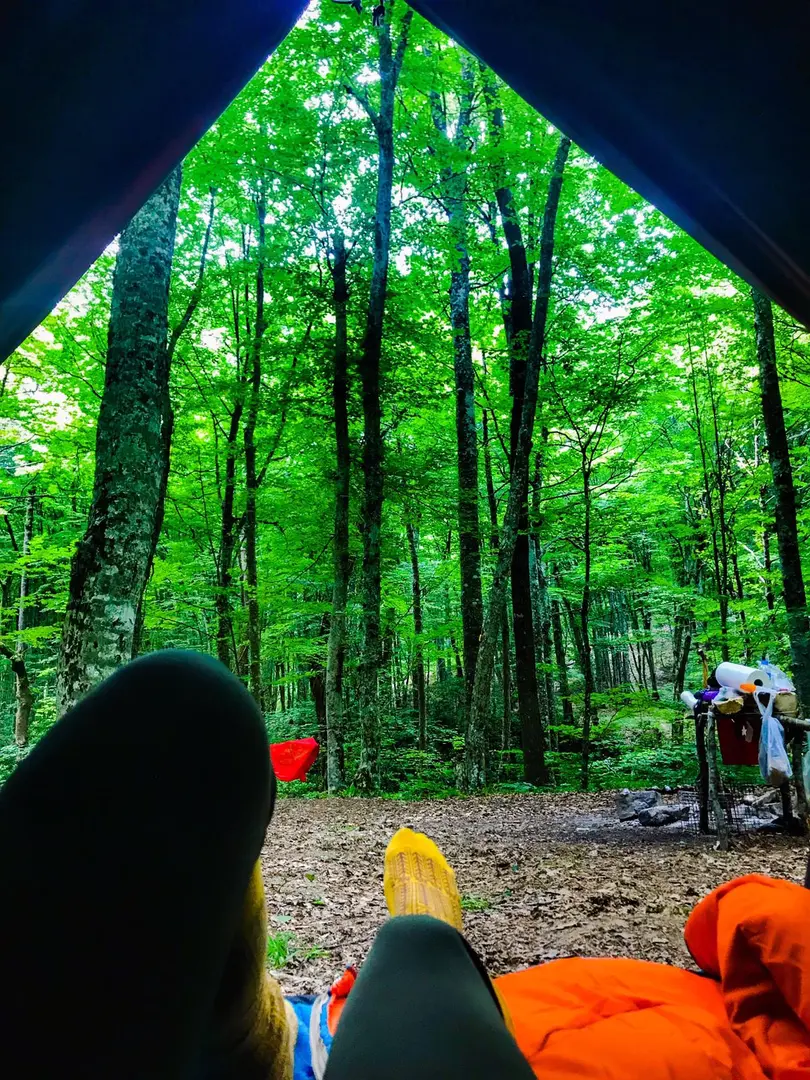 Çifte Kaynaklar Picnic and Camping Area — Kırklareli — küçük resim 4