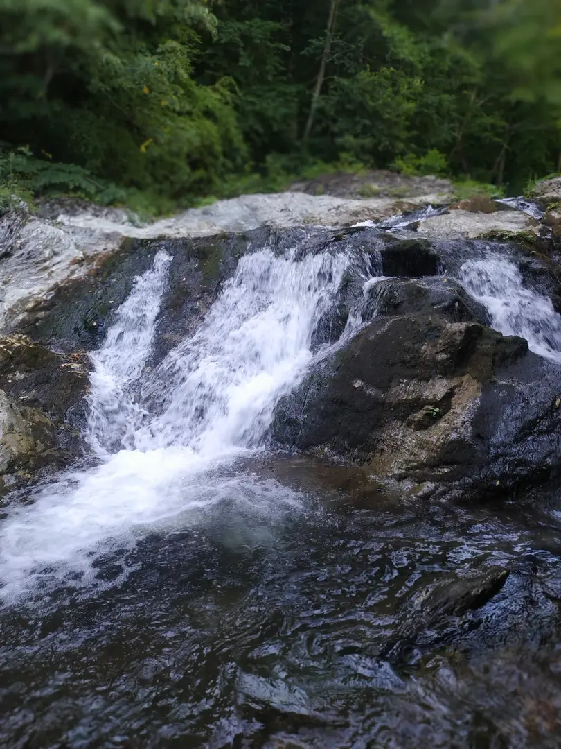 Çifte Kaynaklar Picnic and Camping Area — Kırklareli — küçük resim 8