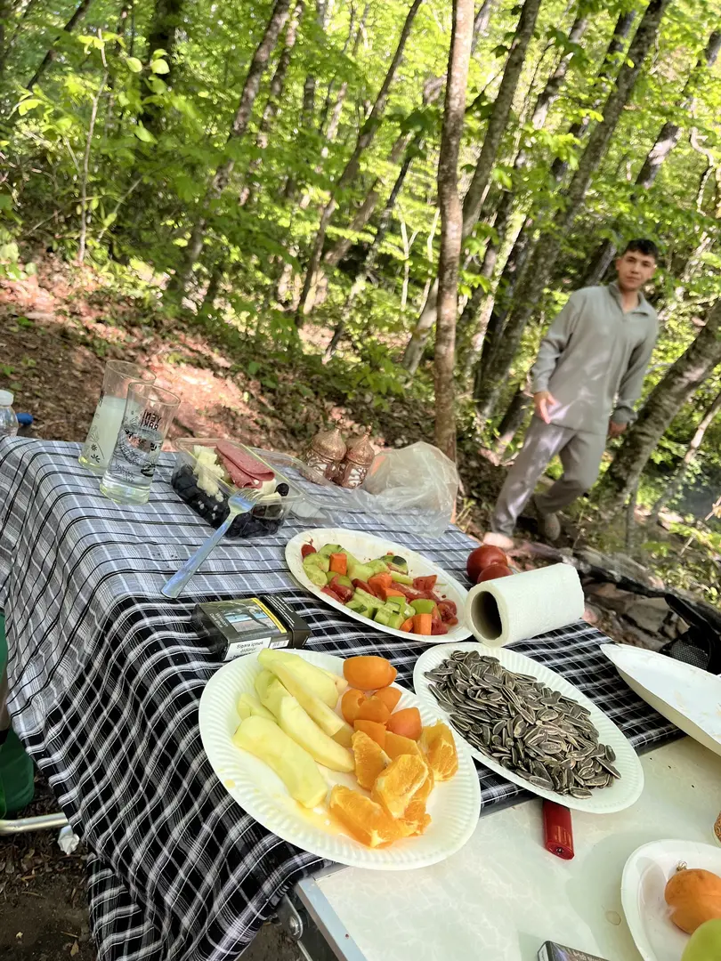 Çifte Kaynaklar Picnic and Camping Area — Kırklareli — küçük resim 5
