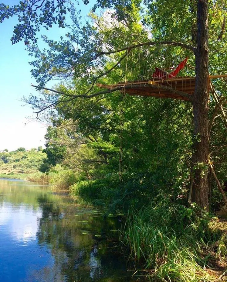 Carpediem Camping Area and Picnic Area (KIYIKÖY) — Kırklareli — küçük resim 6