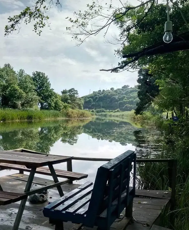 Carpediem Camping Area and Picnic Area (KIYIKÖY) — Kırklareli — küçük resim 3