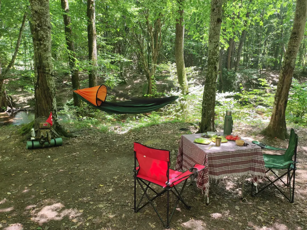 Balaban Camping and Picnic Area — Kırklareli — küçük resim 4