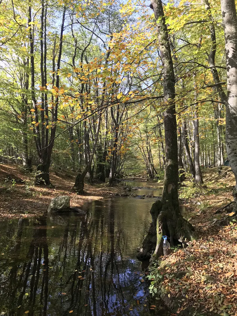 Balaban Camping and Picnic Area — Kırklareli — küçük resim 7