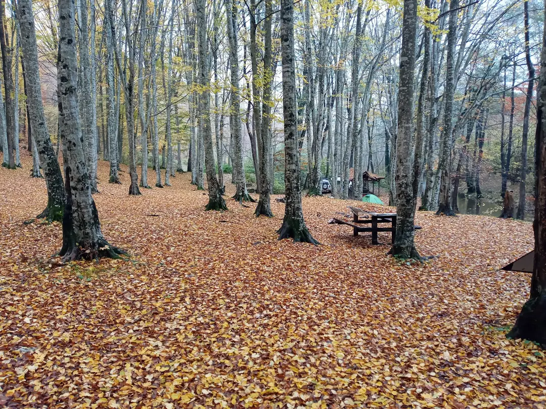 Balaban Camping and Picnic Area — Kırklareli — küçük resim 5