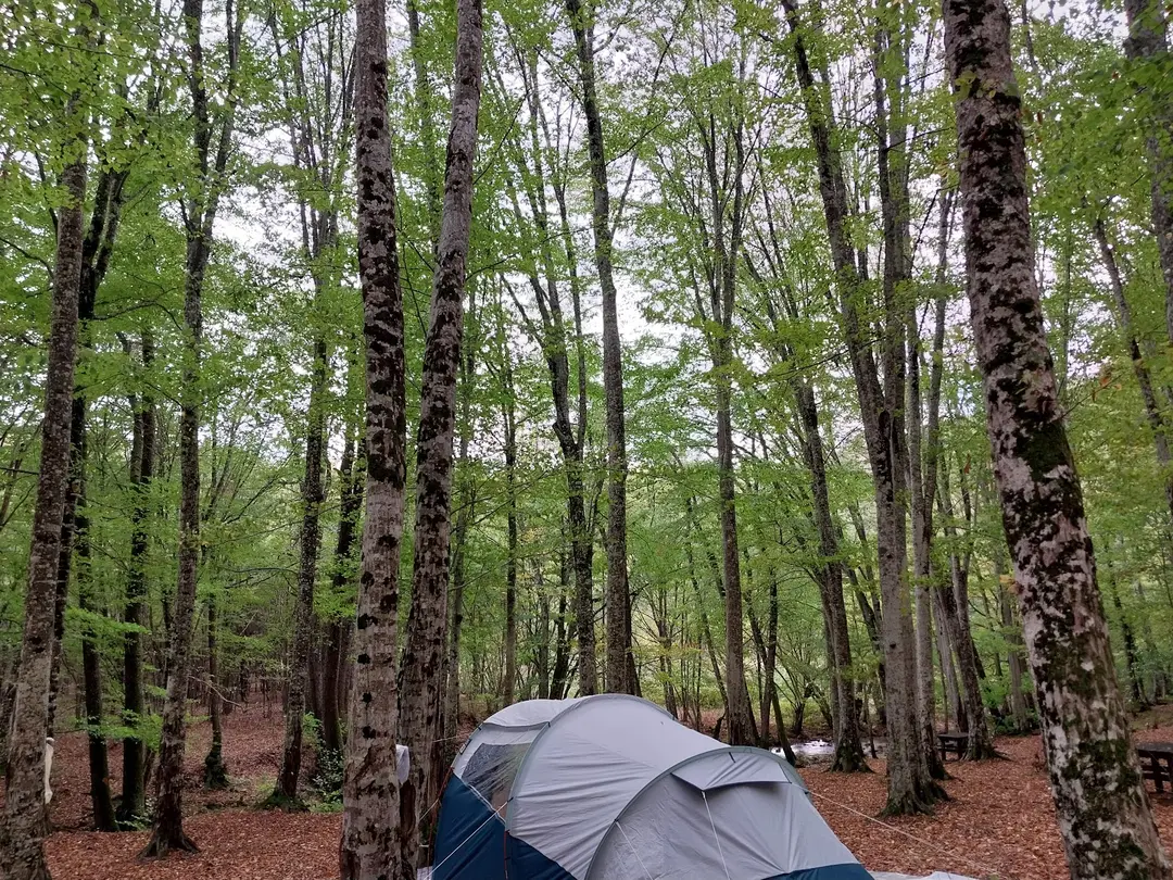 Balaban Camping and Picnic Area — Kırklareli — küçük resim 3