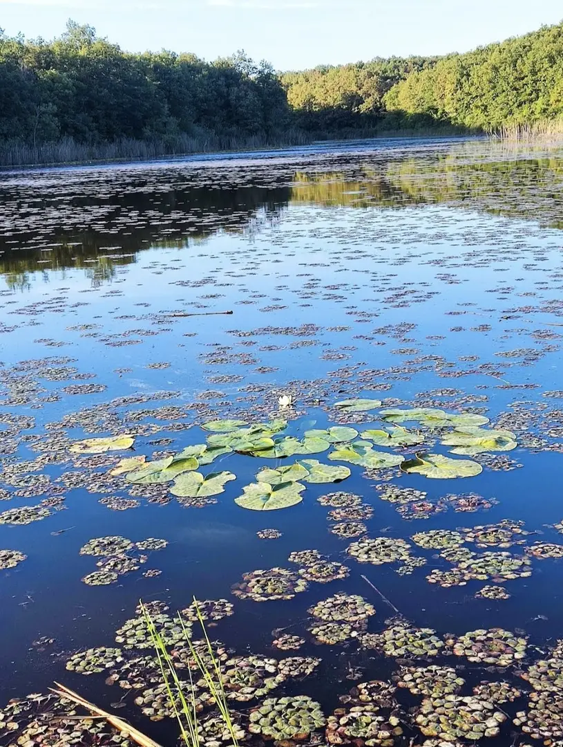 İğneada Longoz Forests National Park — Kırklareli — küçük resim 7
