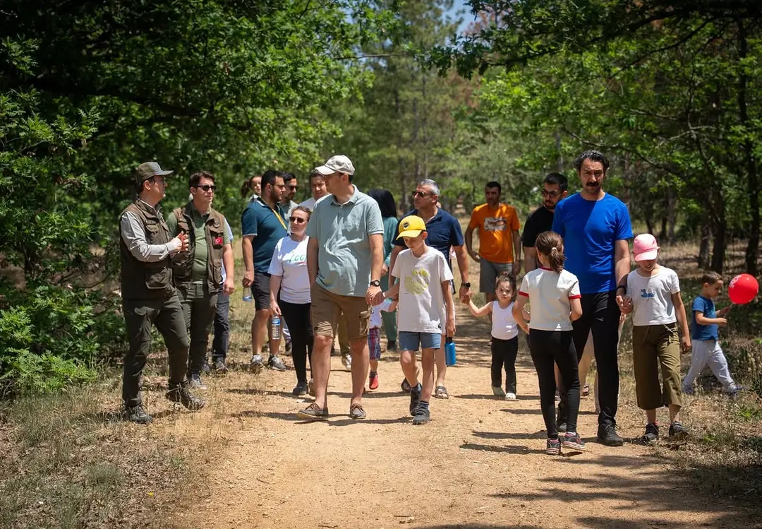 Nurgaz Kavaklı Meşe Korusu Milli Parkı — Kırklareli — küçük resim 5