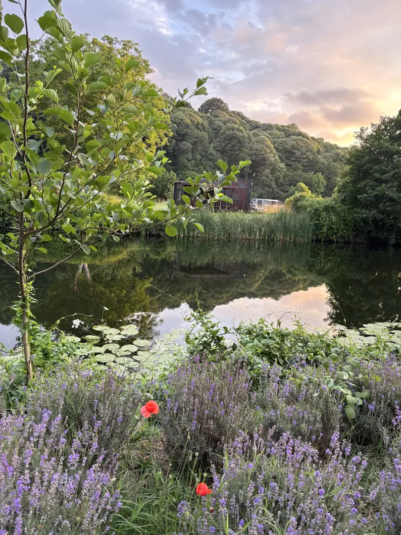 Kıyıköy Lavender camping — Kırklareli — küçük resim 6