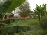 Yeşil Bahçe Bungalow Apart