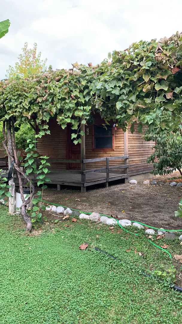 Yeşil Bahçe Bungalow Apart — Muğla — küçük resim 4