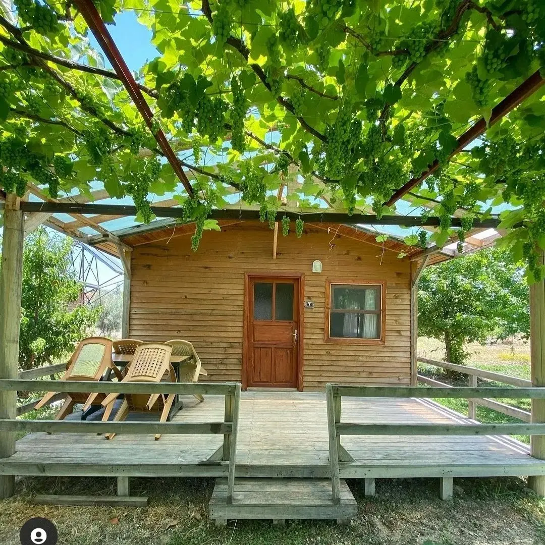 Yeşil Bahçe Bungalow Apart — Muğla — küçük resim 2