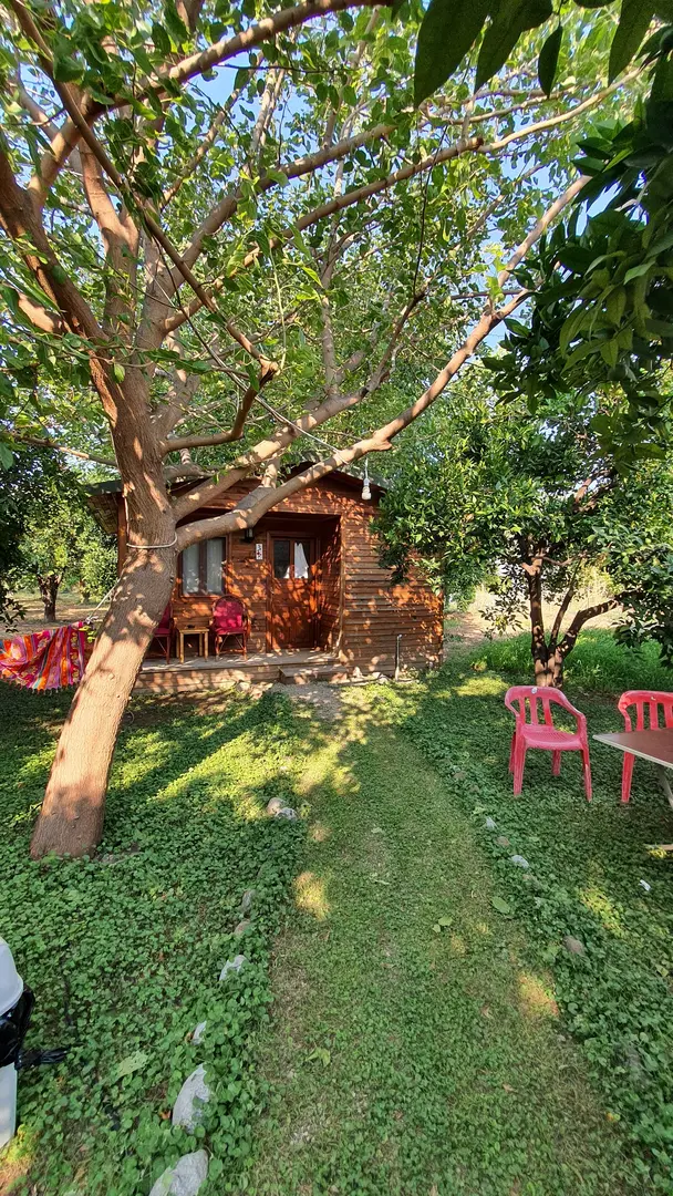 Yeşil Bahçe Bungalow Apart — Muğla — küçük resim 5
