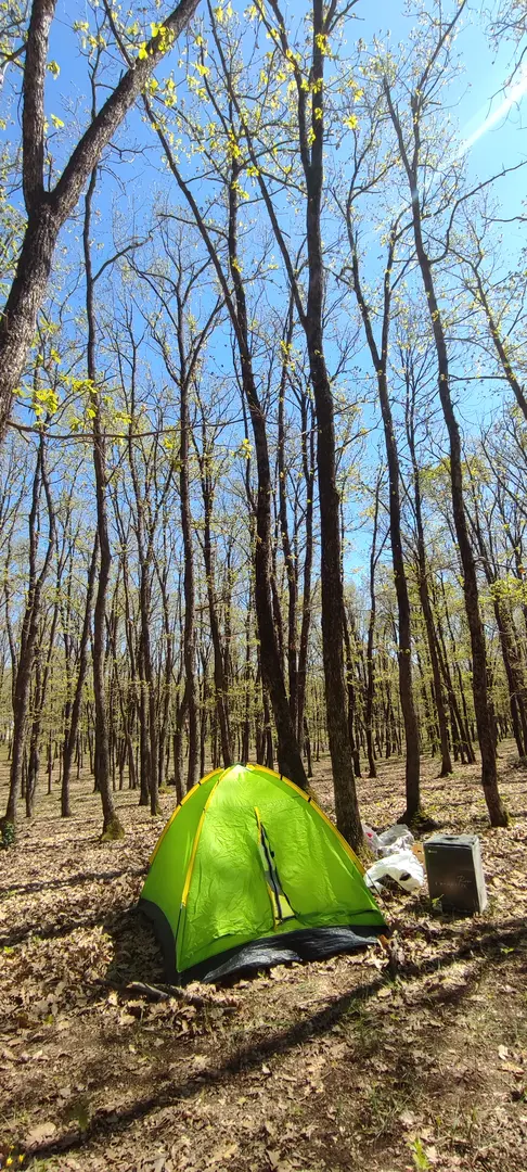 İğneada Camping Forest — Kırklareli — küçük resim 10