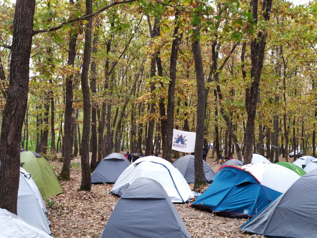 inğeada kamping ormanı