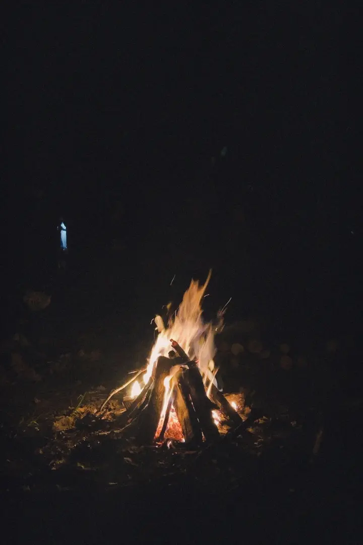 İğneada Camping Forest — Kırklareli — küçük resim 8
