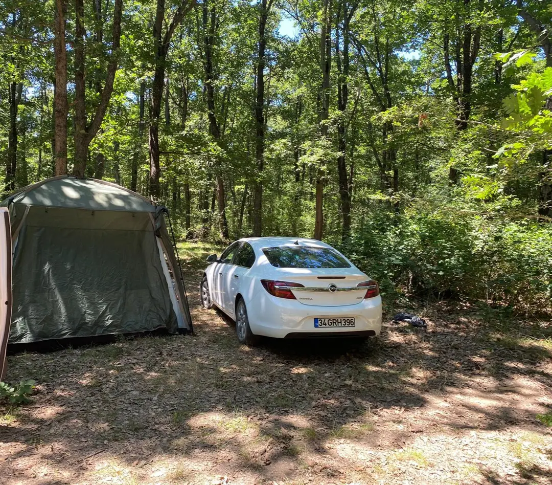 İğneada Camping Forest — Kırklareli — küçük resim 3