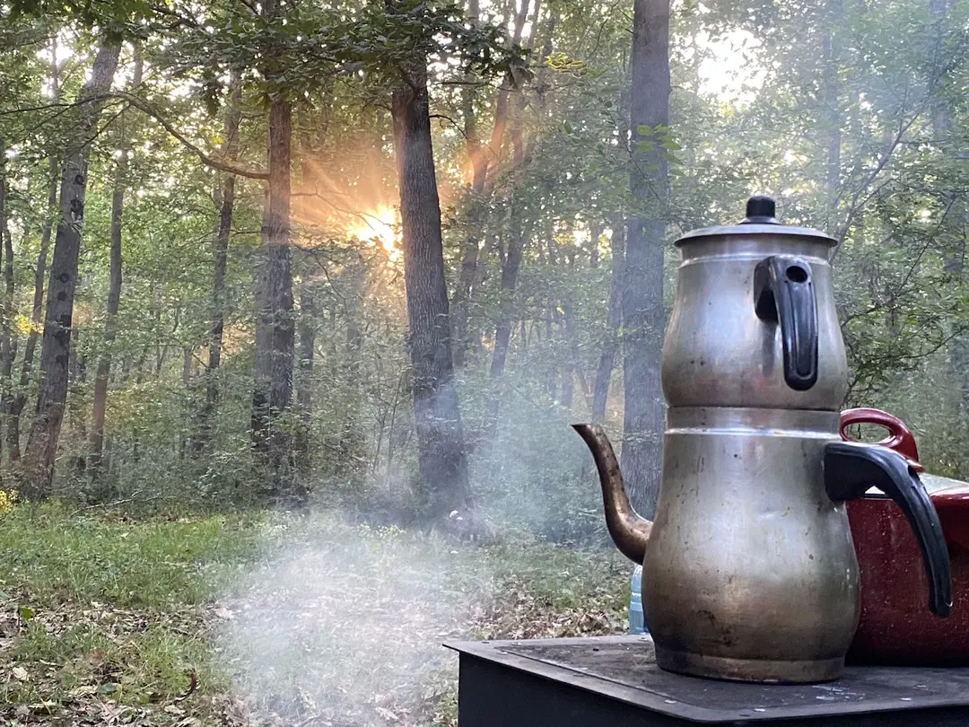 İğneada Camping Forest — Kırklareli — küçük resim 4