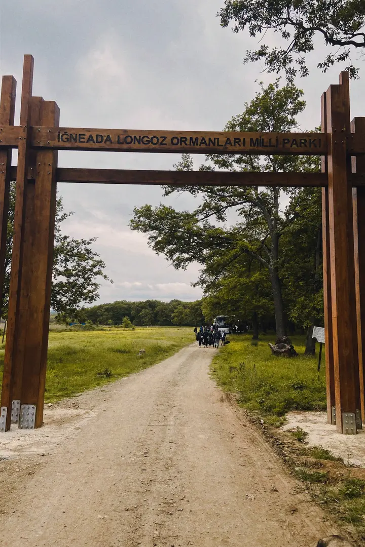İğneada Camping Forest — Kırklareli — küçük resim 9