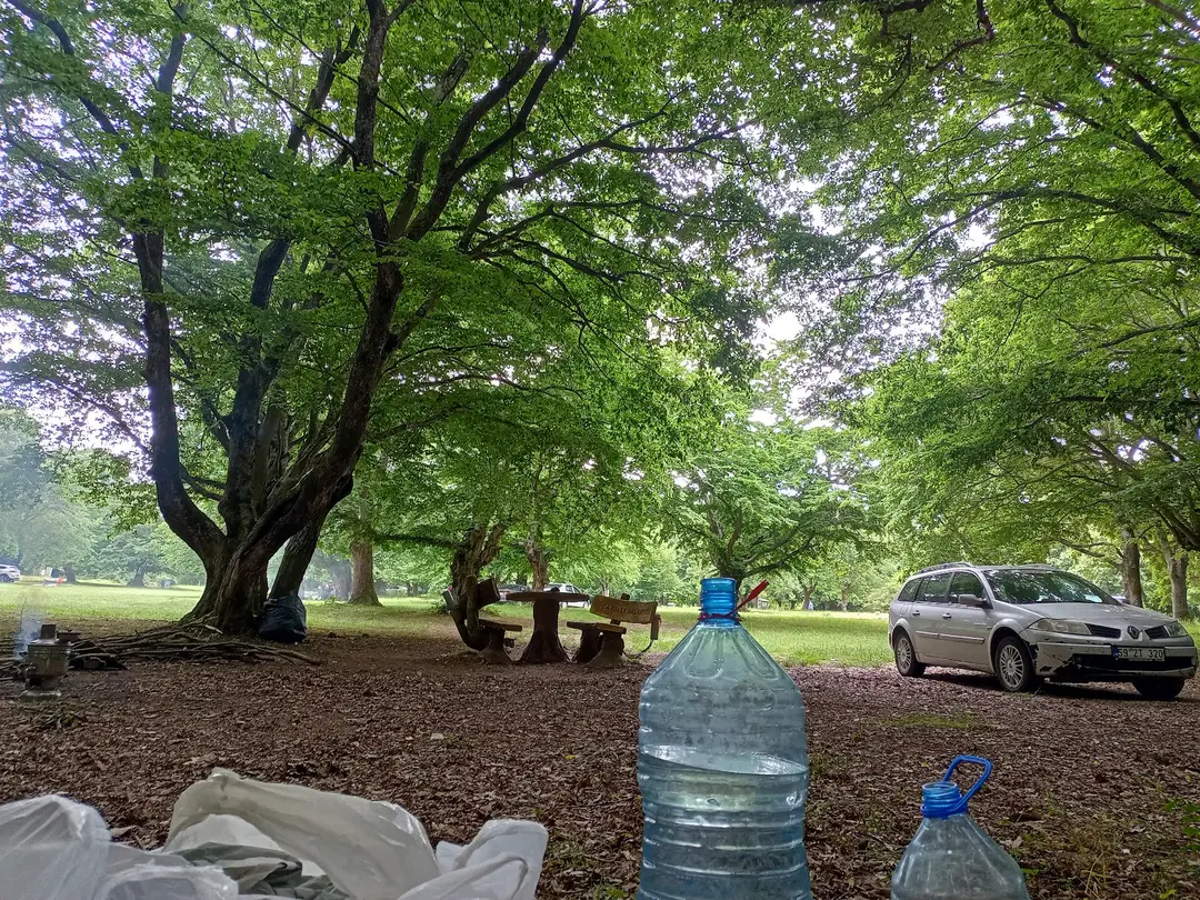 Ergonya Camping
