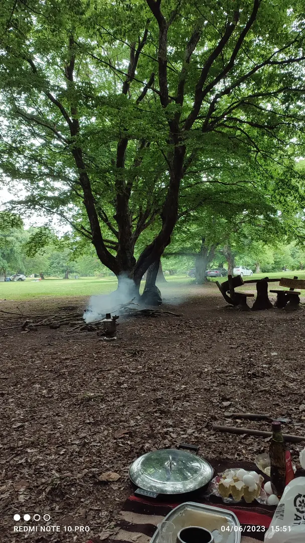 Ergonya Camping — Kırklareli — küçük resim 2