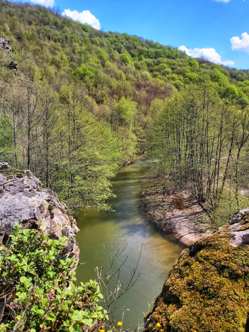 Çaglayık Picnic and Camping Area — Kırklareli — küçük resim 6