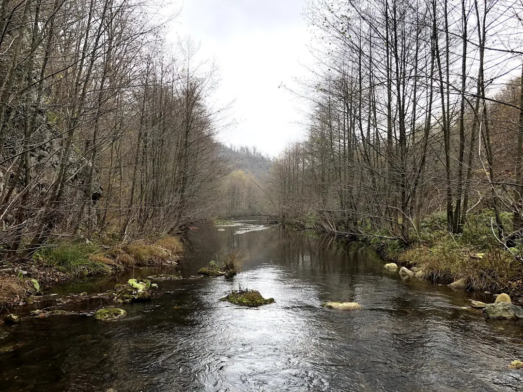 Çaglayık Picnic and Camping Area — Kırklareli — küçük resim 2