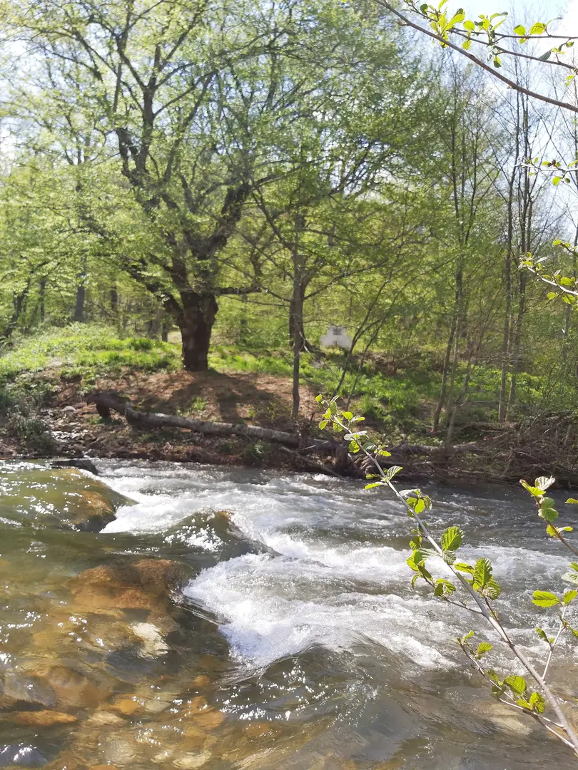 Çaglayık Picnic and Camping Area — Kırklareli — küçük resim 3
