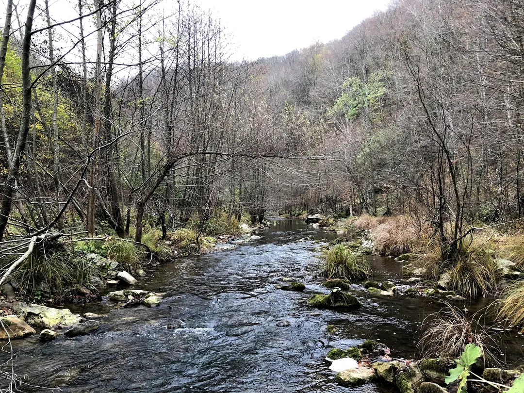 Çaglayık Picnic and Camping Area — Kırklareli — küçük resim 10
