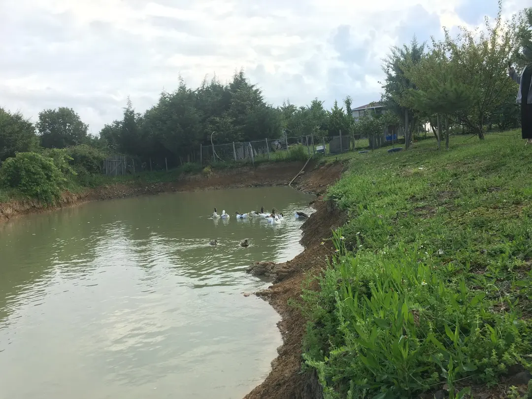İğneada Kamp — Kırklareli — küçük resim 6