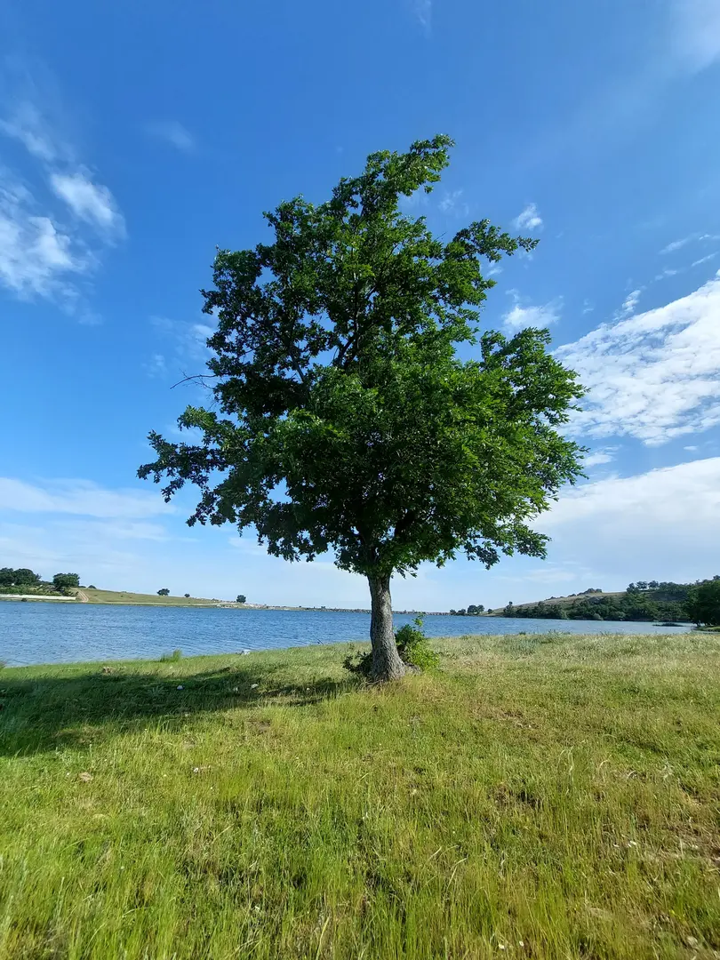 Evciler Lake — Kırklareli — küçük resim 5