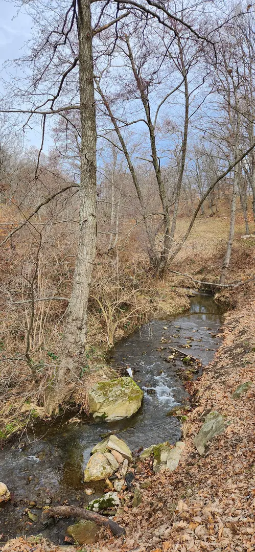 Evciler Lake — Kırklareli — küçük resim 6