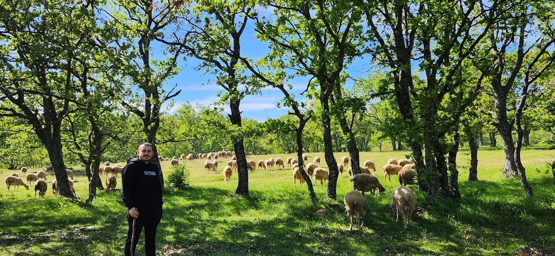 Evciler Lake — Kırklareli — küçük resim 9