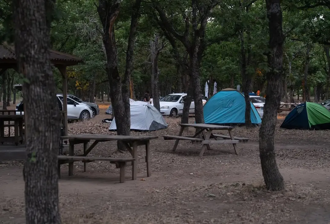 Nurgaz Kavaklı Meşe Korusu Milli Parkı — Kırklareli — küçük resim 6