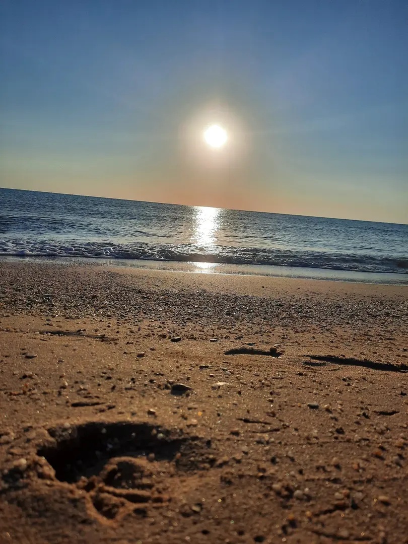 Kıyıköy Camping (Kasımpaşalı's place) — Kırklareli — küçük resim 4