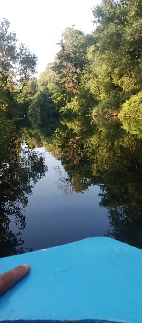 Kıyıköy Camping (Kasımpaşalı's place) — Kırklareli — küçük resim 3