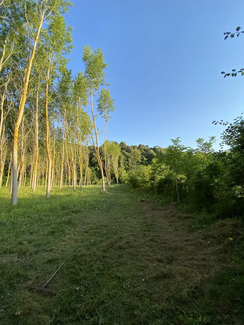 ilyas baba camping area — Kırklareli — küçük resim 9
