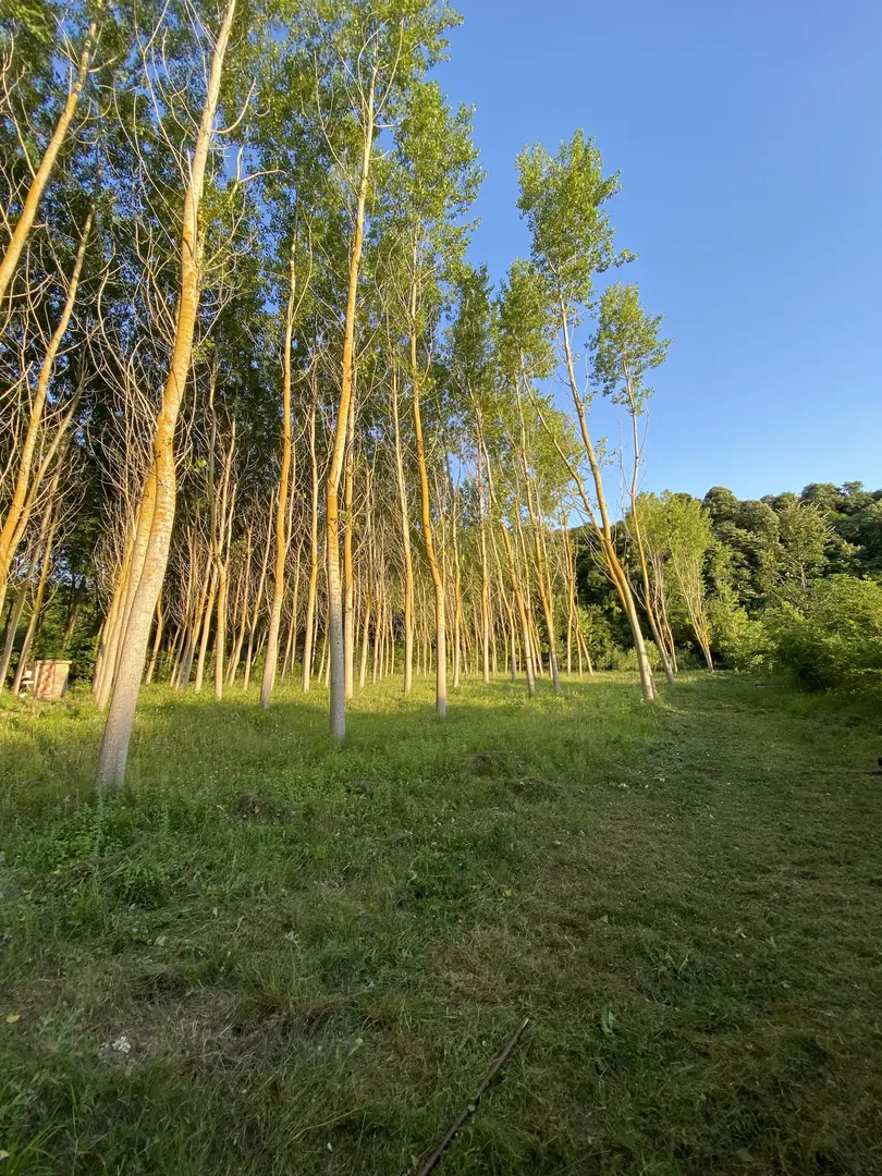 ilyas baba camping area — Kırklareli — küçük resim 8