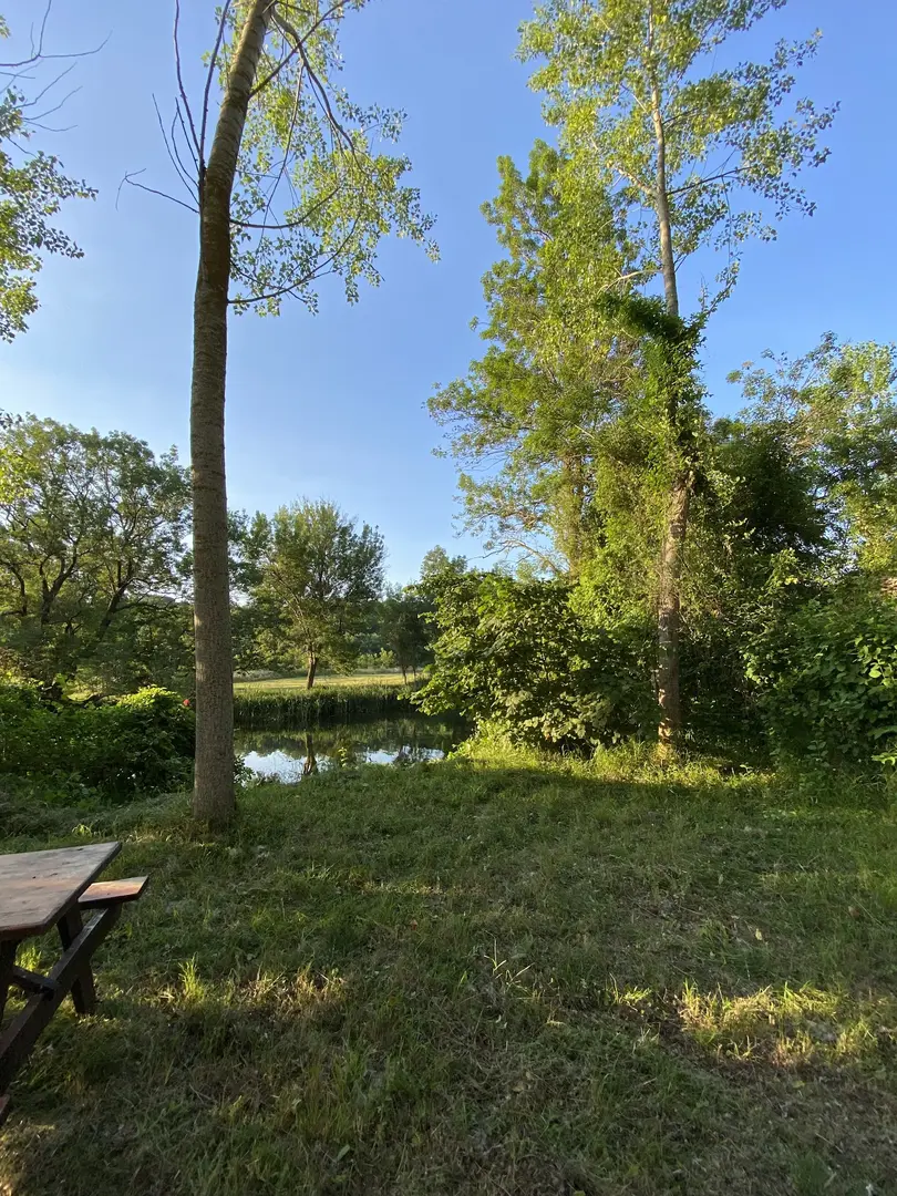 ilyas baba camping area — Kırklareli — küçük resim 3