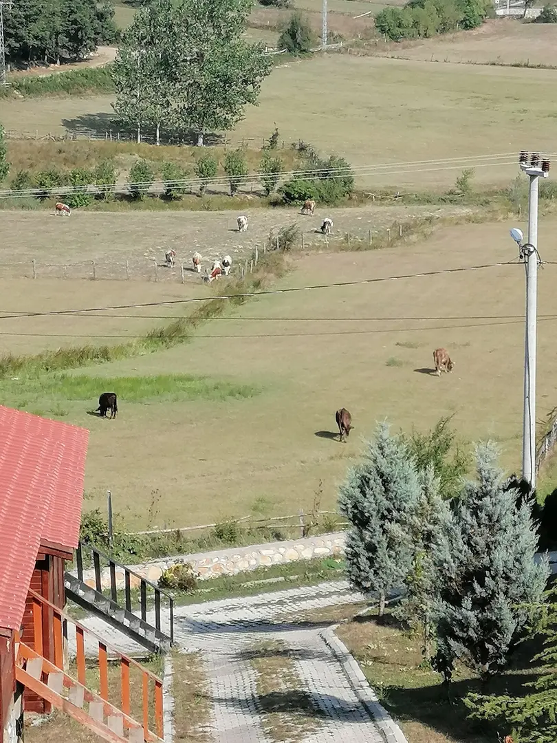ASPIM Barbaros Camping Site — Tekirdağ — küçük resim 4